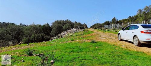 Arsa-Villa İmarlı