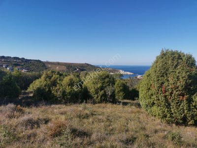 Arsa-Tarla