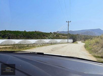 Arsa-Bağ & Bahçe