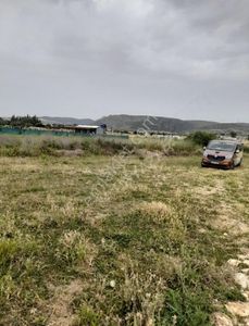 Arsa-Tarla