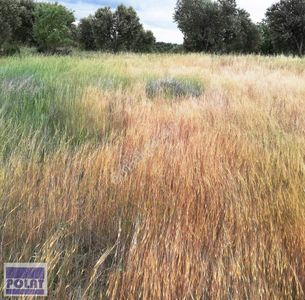 Arsa-Tarla