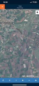 Arsa-Tarla