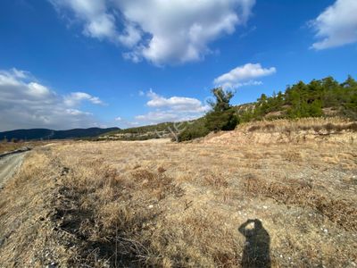 Arsa-Tarla