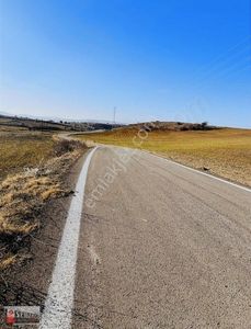 Arsa-Tarla