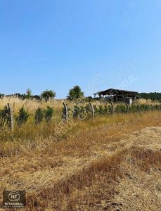 Arsa-Tarla