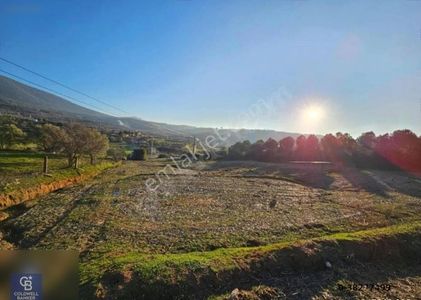 Arsa-Konut İmarlı