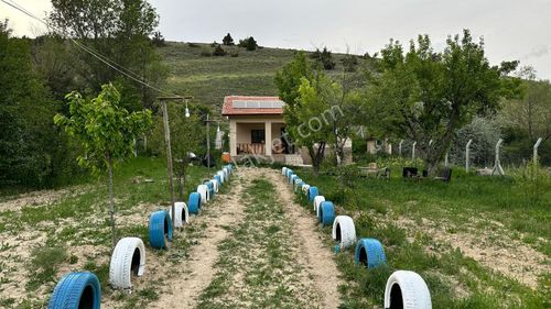 Arsa-Bağ & Bahçe