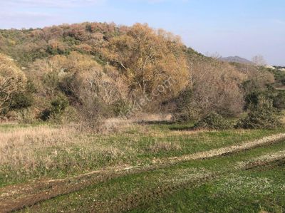 Arsa-Tarla