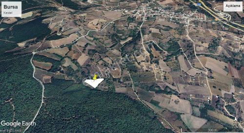 Arsa-Tarla