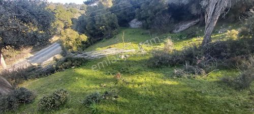 Arsa-Konut İmarlı