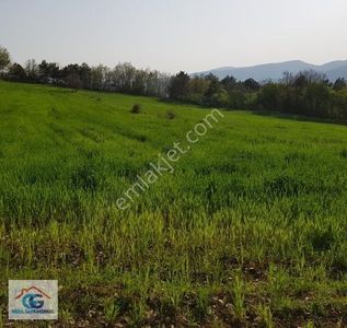 Arsa-Konut İmarlı