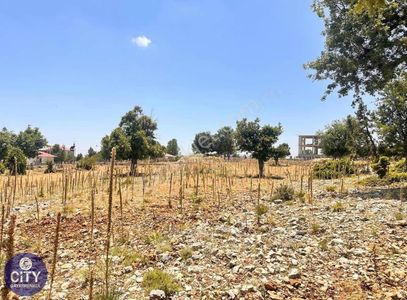 Arsa-Villa İmarlı