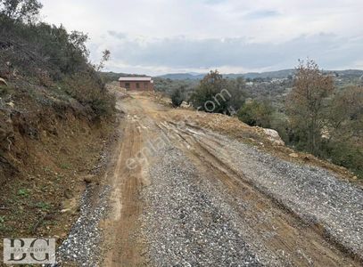 Arsa-Tarla