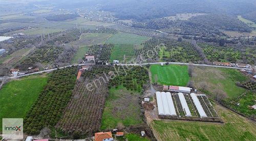 Arsa-Bağ & Bahçe