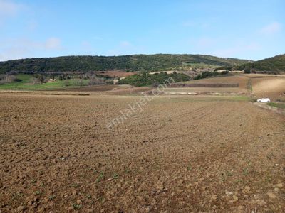 Arsa-Tarla