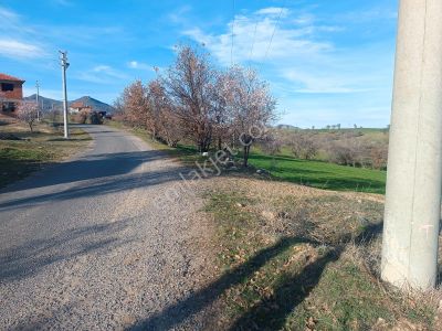 Arsa-Tarla