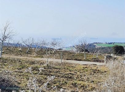 Arsa-Villa İmarlı