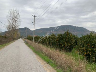 Arsa-Konut İmarlı