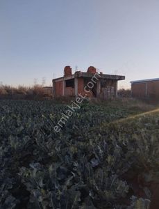 Arsa-Villa İmarlı