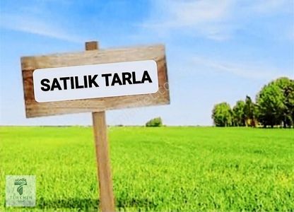 Arsa-Tarla