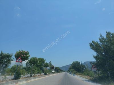 Arsa-Konut+Ticaret Alanı