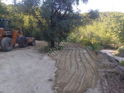 Arsa-Tarla
