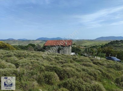 Arsa-Tarla
