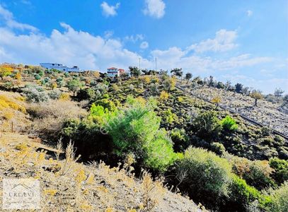 Arsa-Tarla