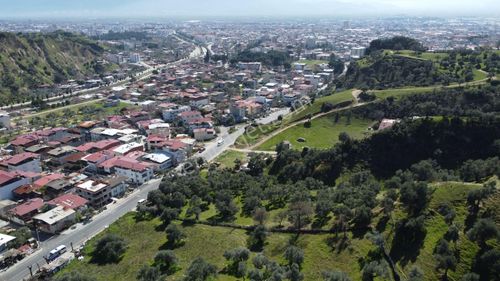 Arsa-Zeytinlik