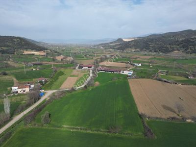Arsa-Tarla