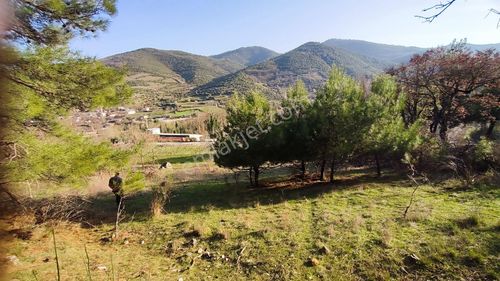Arsa-Bağ & Bahçe