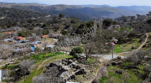 Arsa-Konut İmarlı