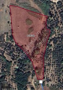 Arsa-Tarla