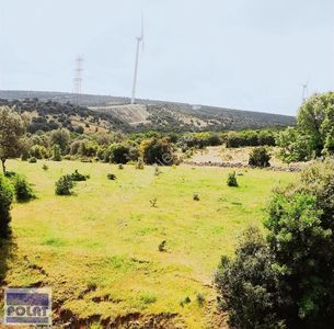 Arsa-Tarla