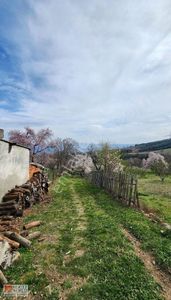 Arsa-Özel Kullanım