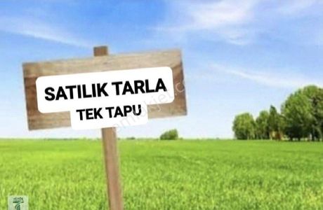 Arsa-Bağ & Bahçe