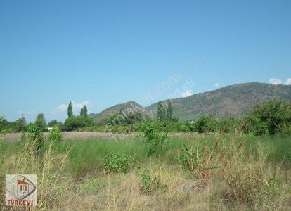 Arsa-Konut İmarlı