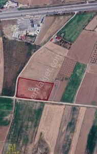 Arsa-Tarla