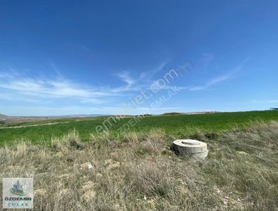 Arsa-Konut İmarlı