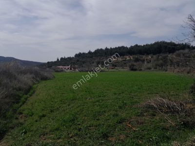 Arsa-Tarla