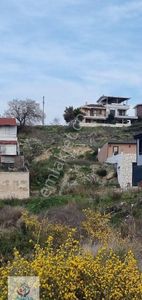 Arsa-Konut İmarlı