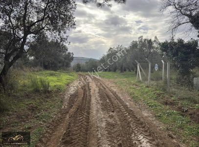 Arsa-Tarla