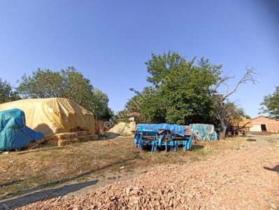 Arsa-Bağ & Bahçe