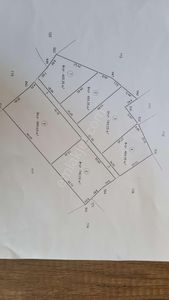 Arsa-Zeytinlik