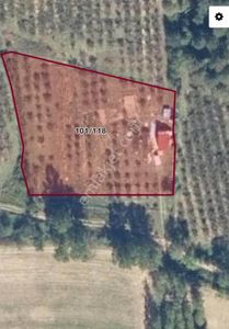 Arsa-Tarla