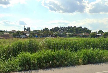 Arsa-Tarla