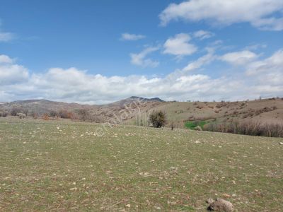 Arsa-Tarla