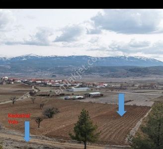 Arsa-Bağ & Bahçe