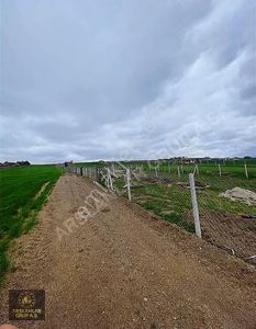 Arsa-Tarla