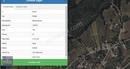 Arsa-Tarla